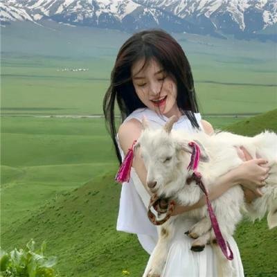 在世界边缘遇见熊