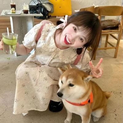 优质杀手